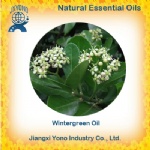 Wintergreen oil